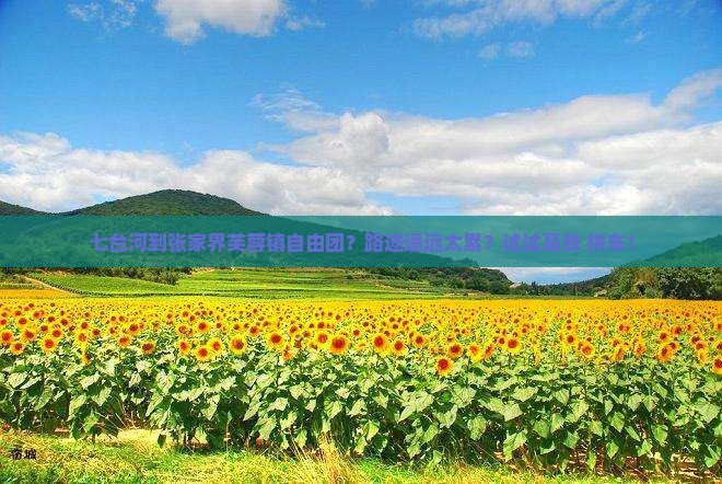 七台河到张家界芙蓉镇自由团
