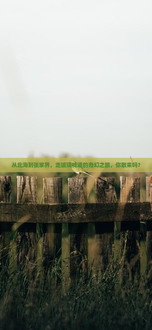 北海到张家界玻璃栈道自由行