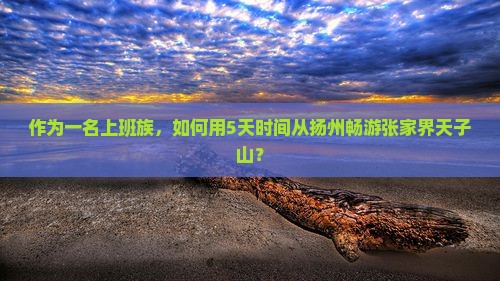 扬州去张家界天子山五日游