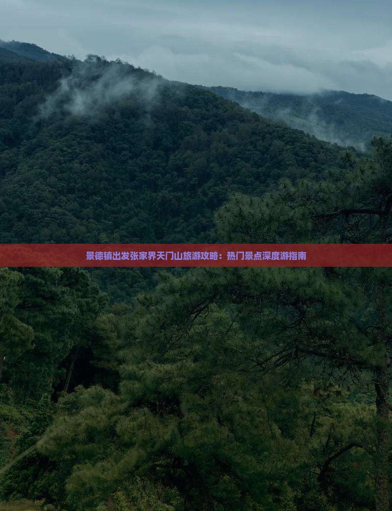 景德镇去张家界天门山哪里玩