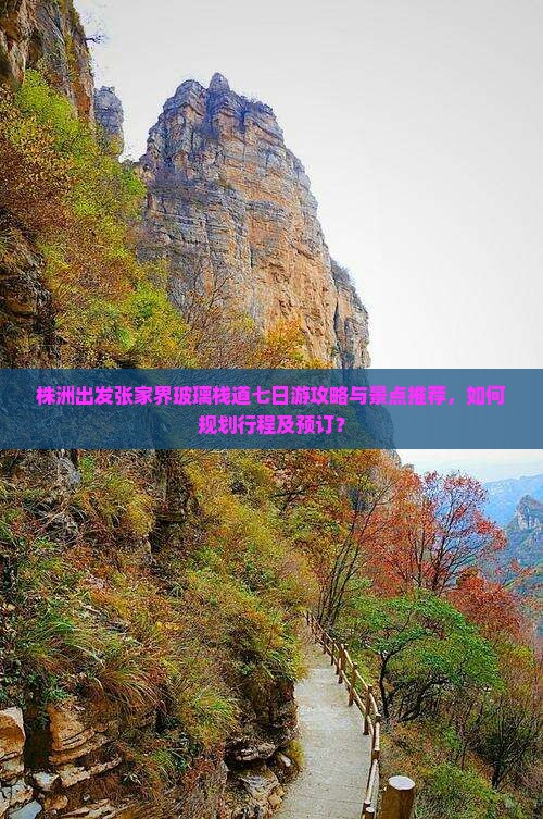 株洲到张家界玻璃栈道七日游