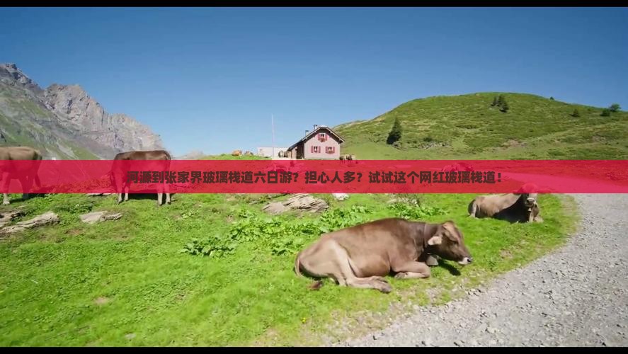 河源到张家界玻璃栈道六日游
