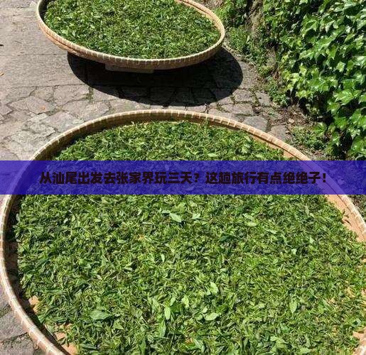 汕尾到张家界三日游