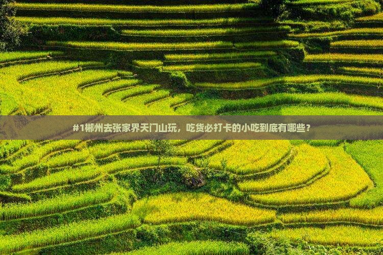 郴州到张家界天门山旅游小吃