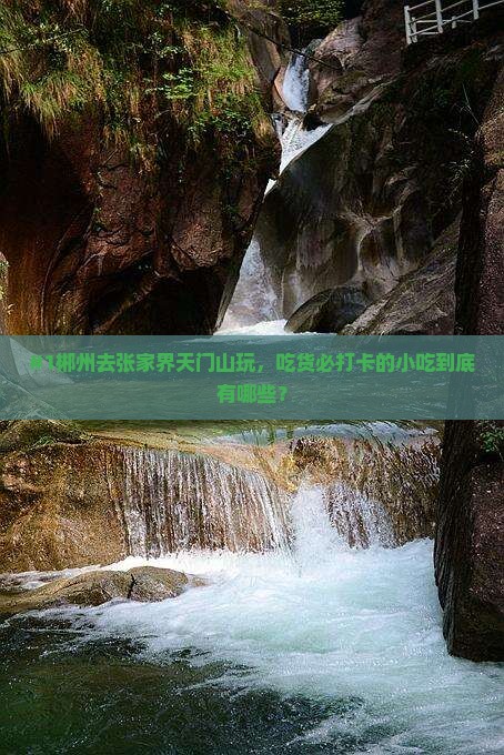 郴州到张家界天门山旅游小吃