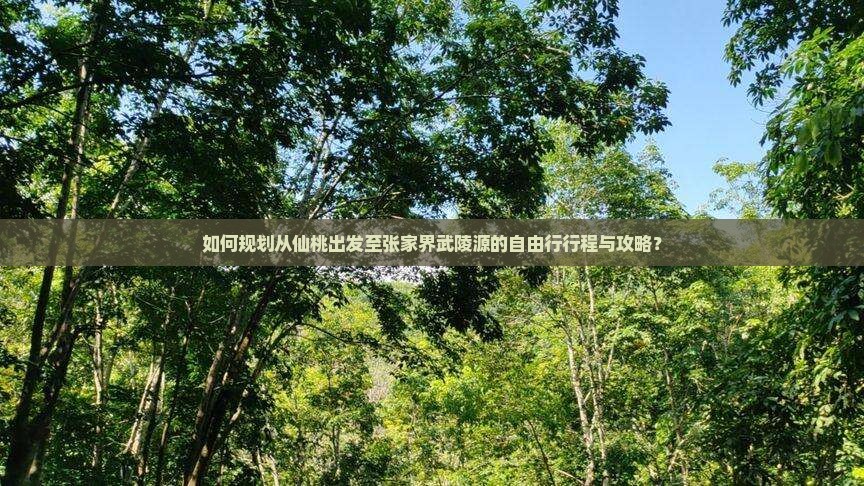 仙桃去张家界武陵源自由行