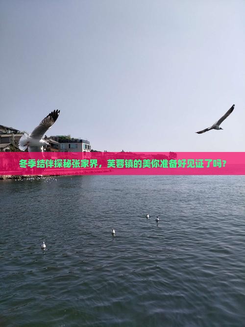 冬天到张家界芙蓉镇团体旅游