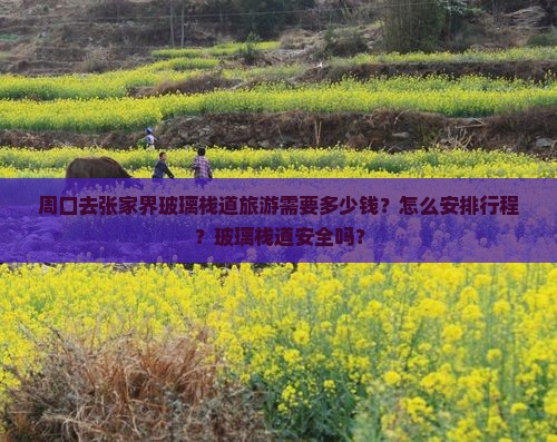 周口去张家界玻璃栈道旅游