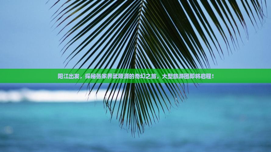 阳江到张家界武陵源大型旅游团 阳江到张家界武陵源大型旅游团