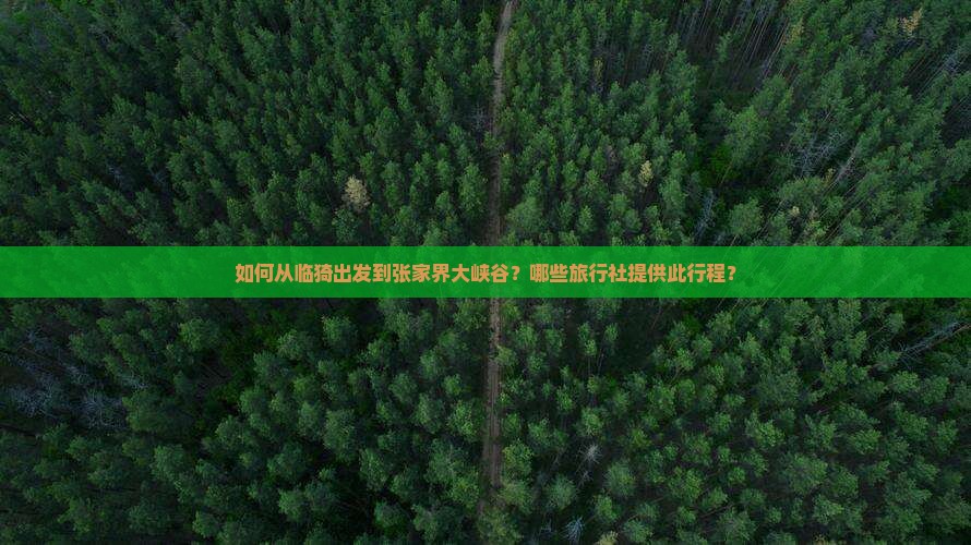 临猗到张家界大峡谷旅行社