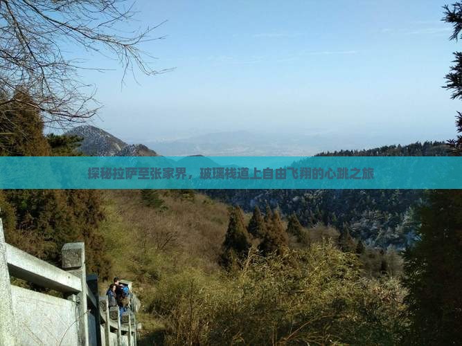 拉萨去张家界玻璃栈道自由团