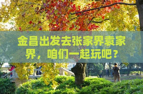 金昌去张家界袁家界自由团