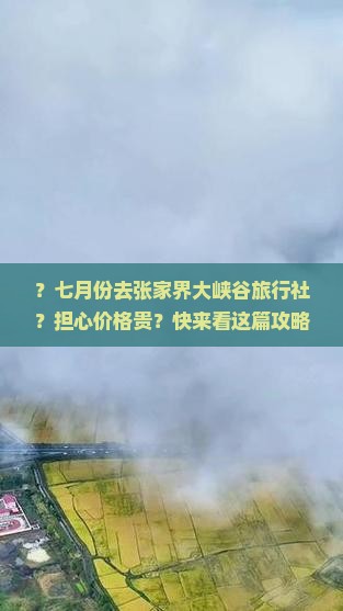 七月去张家界大峡谷旅行社
