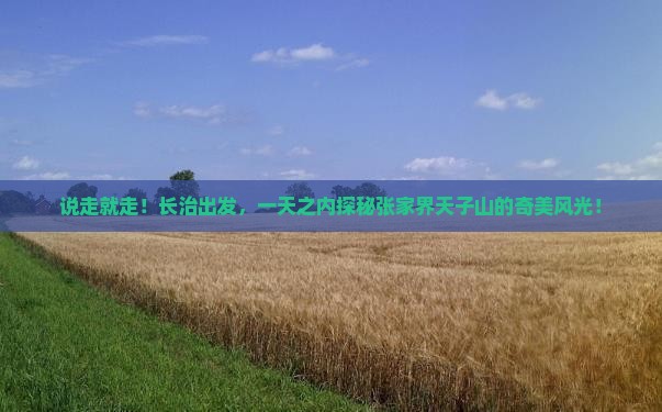 长治到张家界天子山一日