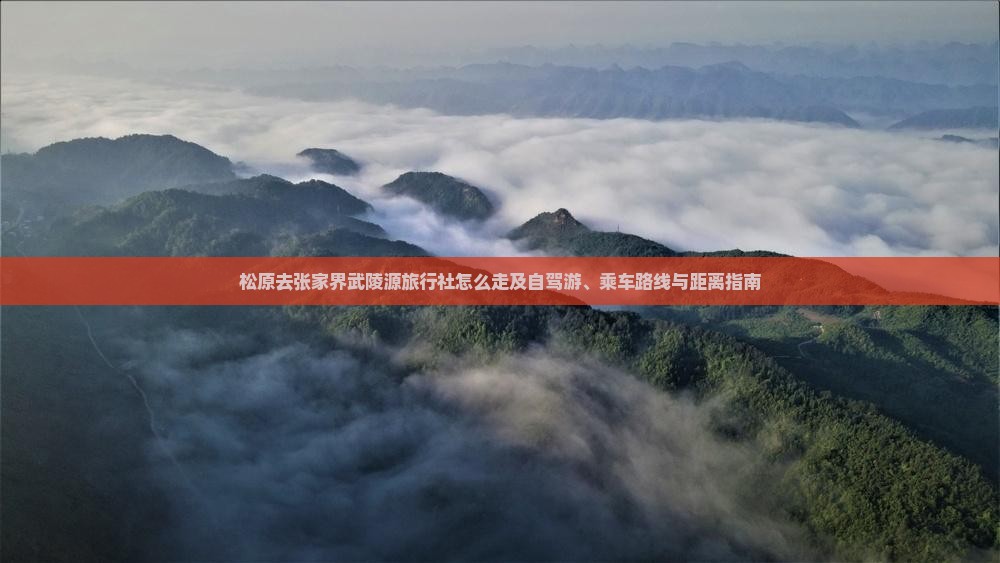 松原去张家界武陵源旅行社