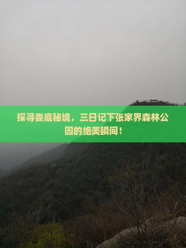 娄底去张家界森林公园三日游