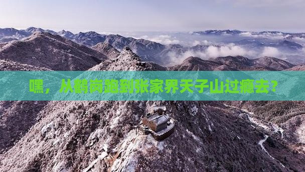 鹤岗到张家界天子山一日