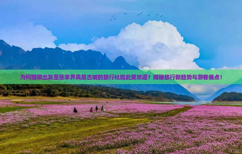 醴陵到张家界凤凰古城旅行社