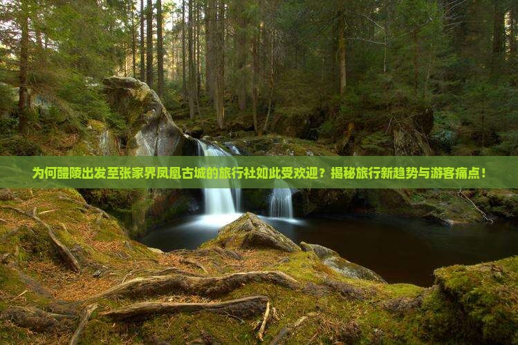醴陵到张家界凤凰古城旅行社