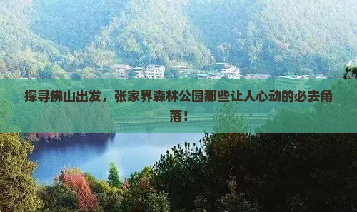 佛山去张家界森林公园必去地