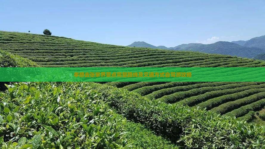 孝感去张家界景点