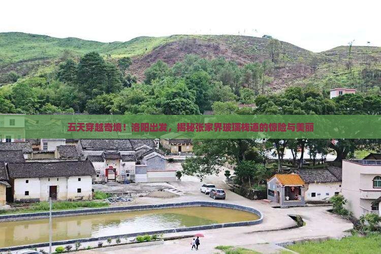 洛阳到张家界玻璃栈道五日游