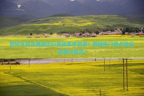 丽水去张家界旅游