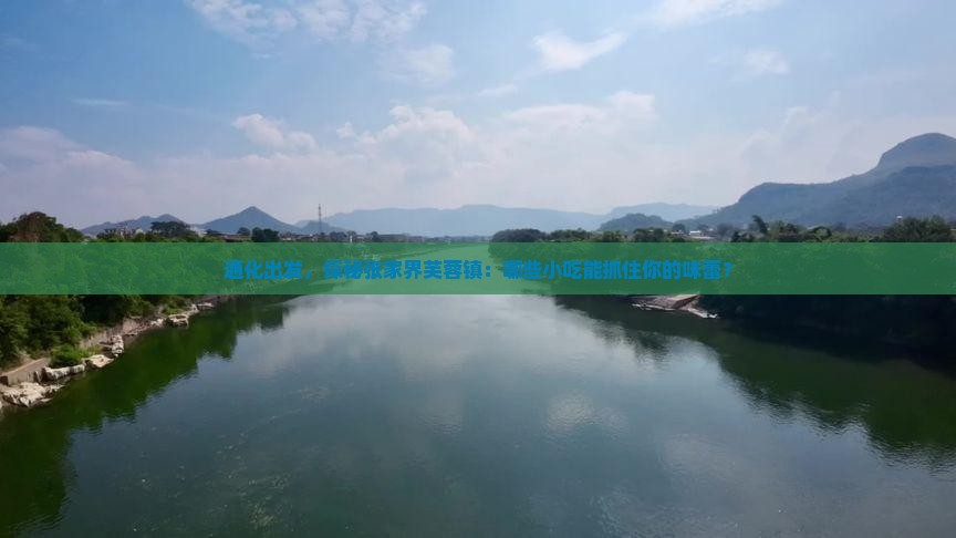 通化到张家界芙蓉镇旅游小吃