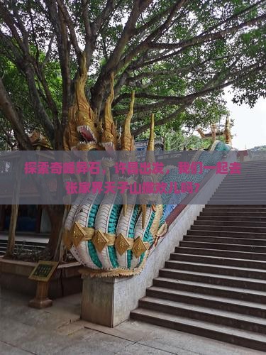 许昌到张家界天子山旅游