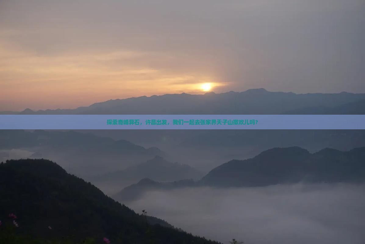 许昌到张家界天子山旅游