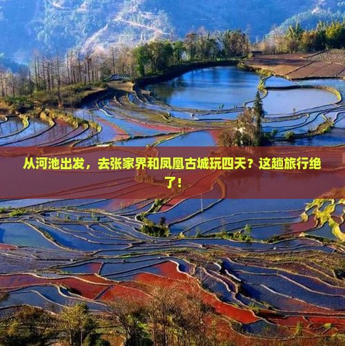 河池到张家界凤凰古城四日游