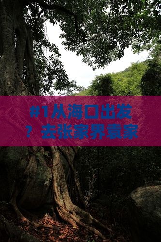 海南到张家界袁家界攻略