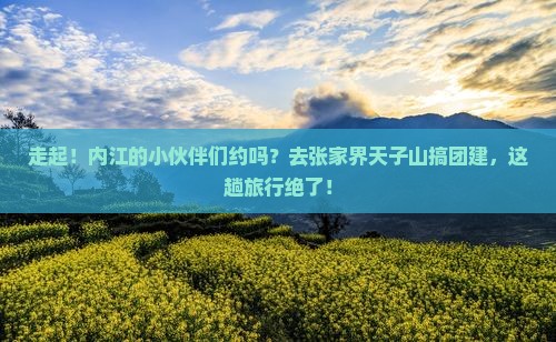 内江去张家界天子山团体旅游