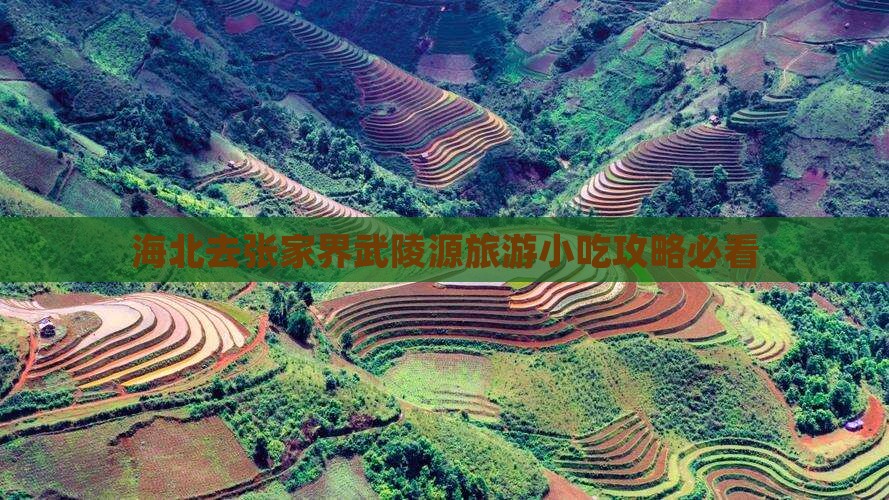 海北去张家界武陵源旅游小吃