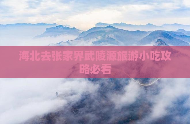 海北去张家界武陵源旅游小吃