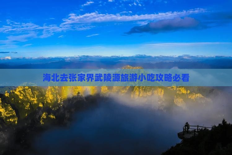 海北去张家界武陵源旅游小吃