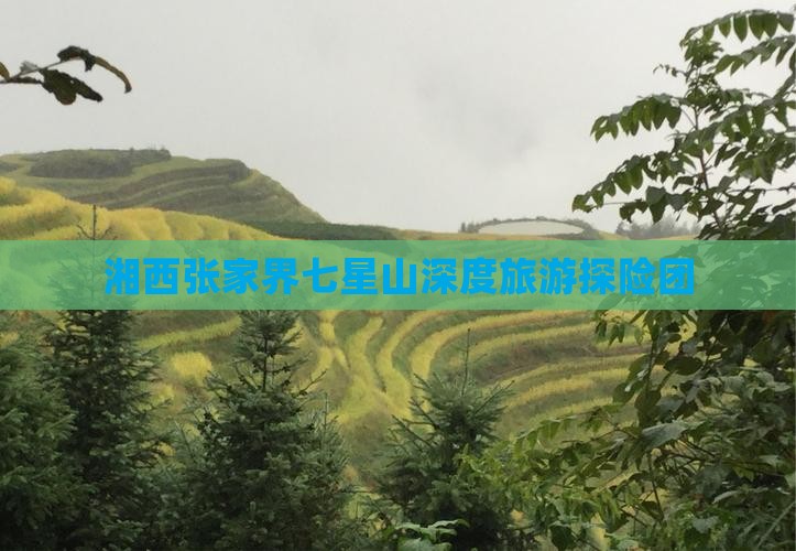 湘西去张家界七星山大型旅游团