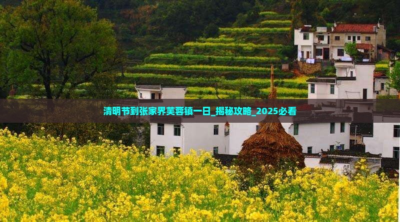 清明节到张家界芙蓉镇一日