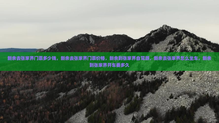 新余去张家界门票