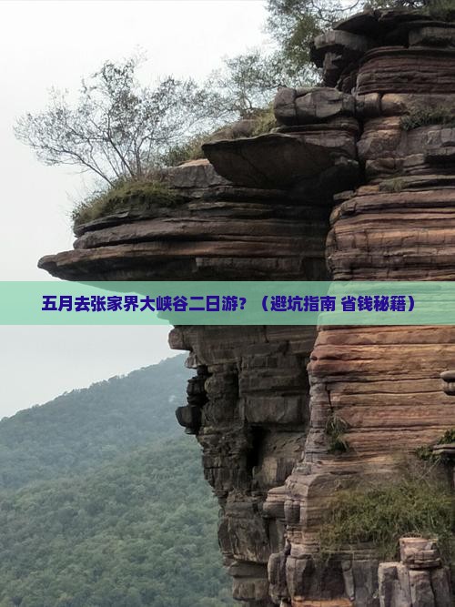五月去张家界大峡谷二日游