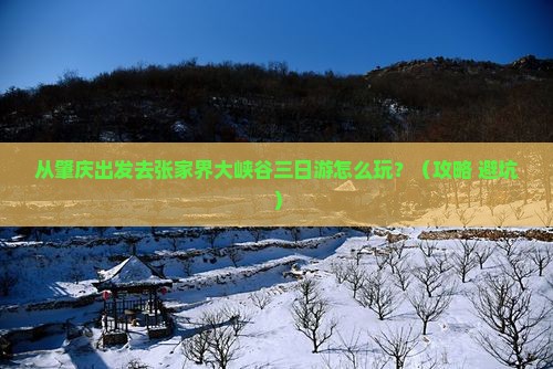 肇庆去张家界大峡谷三日游
