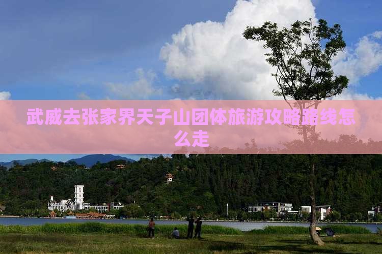 武威去张家界天子山团体旅游