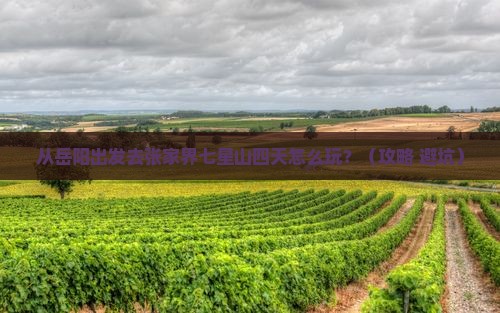 岳阳去张家界七星山四日游