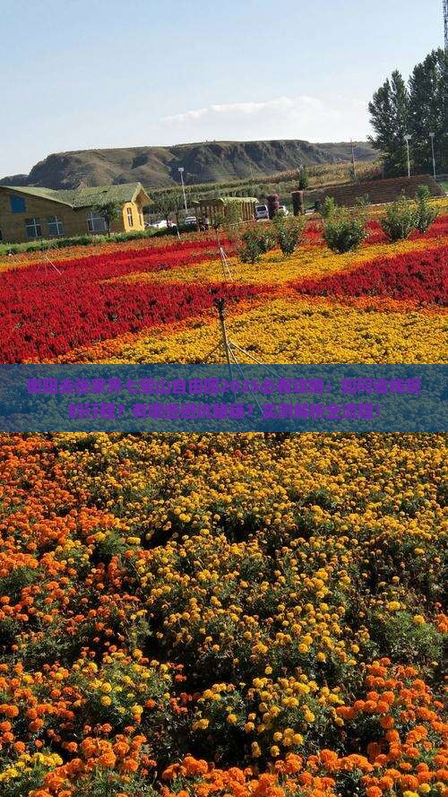衡阳去张家界七星山自由团