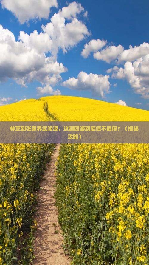 林芝到张家界武陵源团体旅游