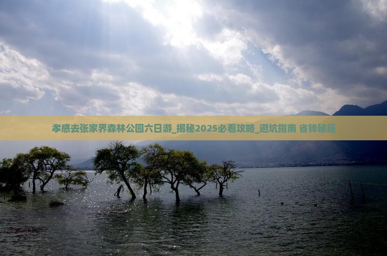 孝感去张家界森林公园六日游