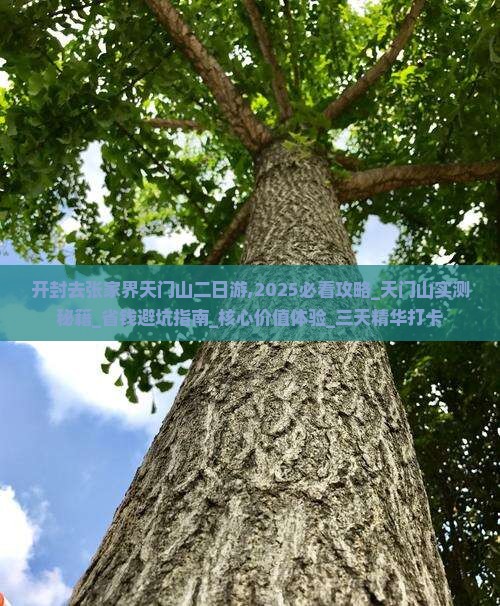 开封去张家界天门山二日游