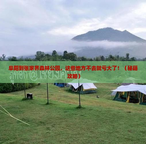 阜阳到张家界森林公园必去地