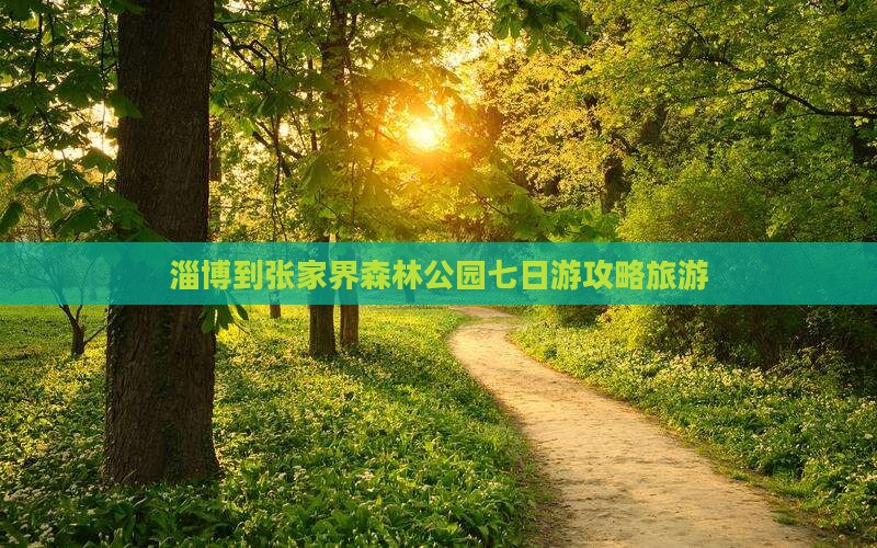 淄博到张家界森林公园七日游
