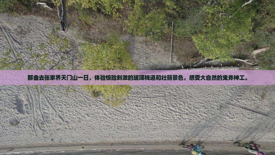 那曲去张家界天门山一日